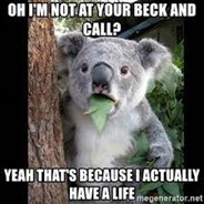 Beck and Call - Meaning, Origin and Usage - English-Grammar-Lessons.com