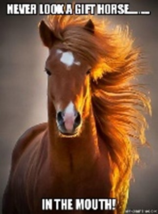Don't Look a Gift Horse in the Mouth - Meaning, Origin and Usage