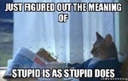meaning of stupid in english language