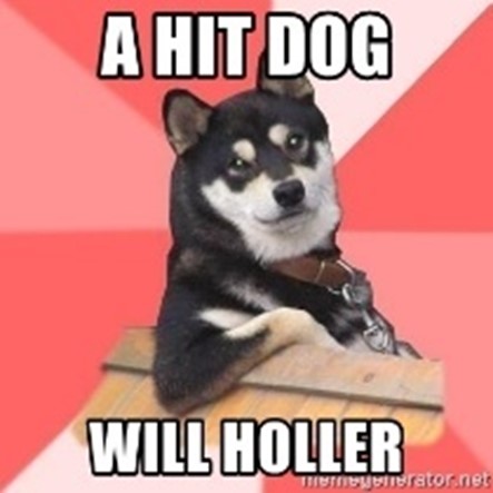 A Hit Dog will Holler - Meaning, Origin and Usage - English-Grammar