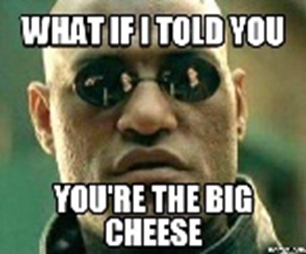  Big Cheese Meaning Origin And Usage English Grammar Lessons