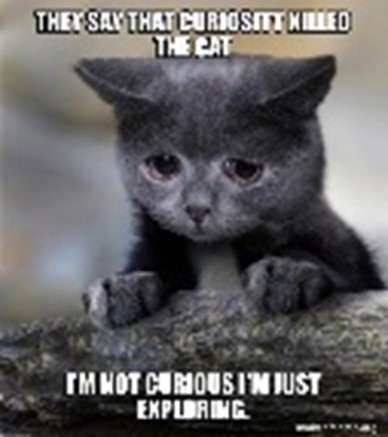 Curiosity Killed the Cat – Meaning, Origin and Usage - English-Grammar ...