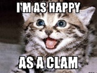 Happy as a Clam - Meaning, Origin and Usage - English-Grammar-Lessons.com