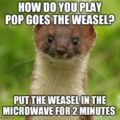 Pop Goes the Weasel – Meaning, Origin and Usage - English-Grammar ...