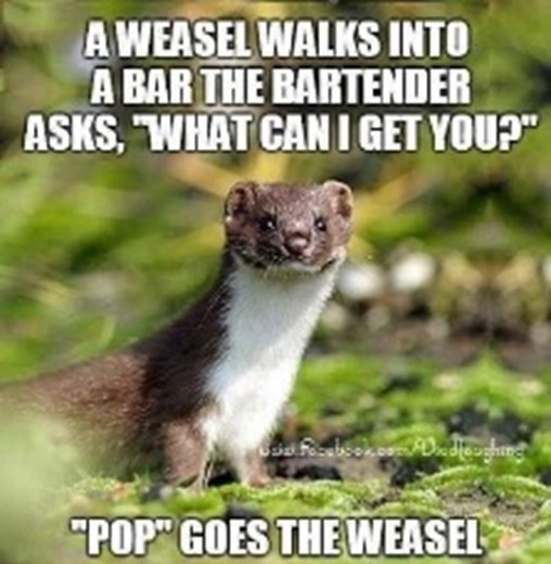 Pop Goes the Weasel – Meaning, Origin and Usage - English-Grammar ...