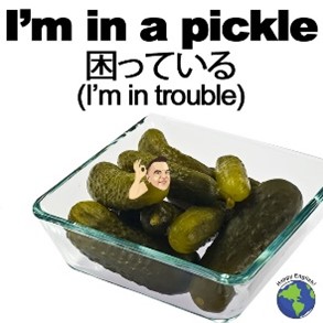 In a Pickle - Meaning, Origin and Usage