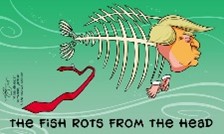 The Fish Rots from the Head – Meaning, Origin and Usage -  English-Grammar-Lessons.com