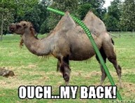 The Straw That Broke The Camels Back Meaning Origin And Usage