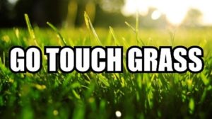 What Does Touch Grass Mean?