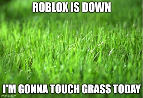 Go Touch Some Grass” Meaning