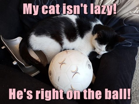 On the Ball – Meaning, Origin and Usage - English-Grammar-Lessons.com